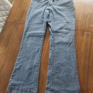 The Limited Blue Flare Wide Leg Jeans